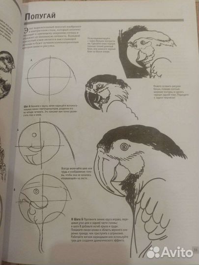 Книги по рисованию