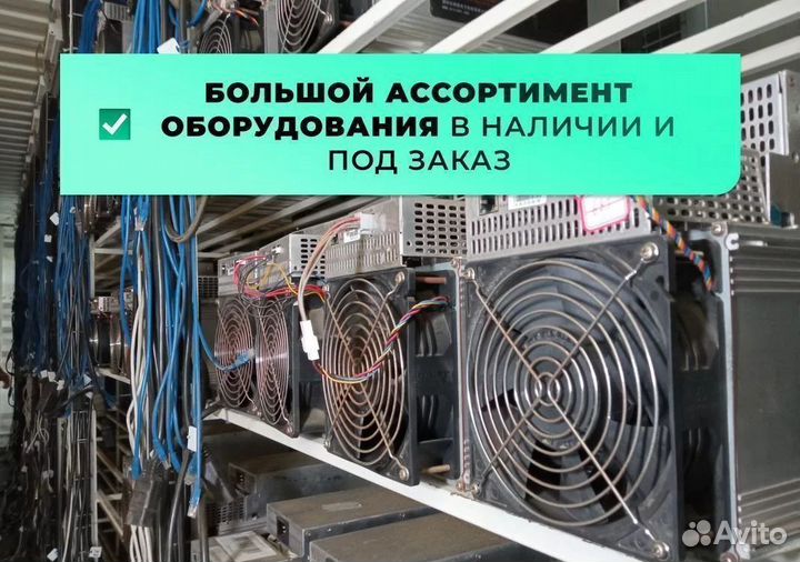 Асик майнер Antminer asic Whatsminer