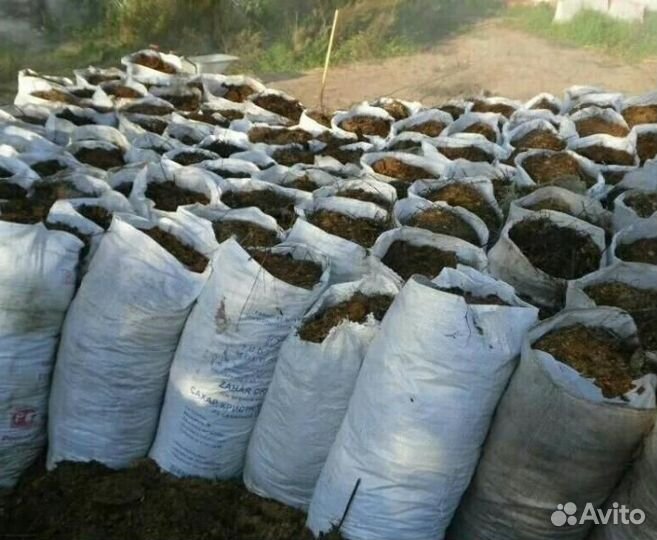 Навоз конский в мешках