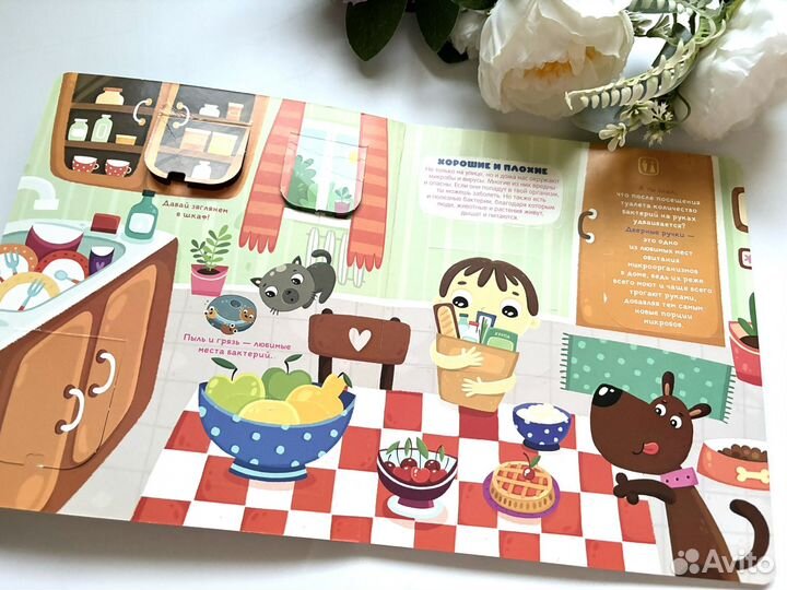 Детская книга с окошками Иммунитет