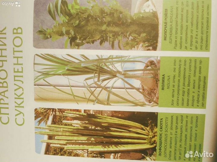 Книги про растения