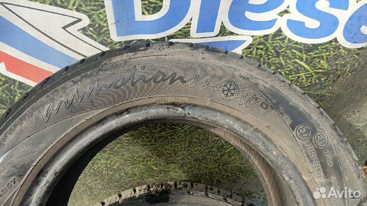 Белшина Artmotion 175/65 R14