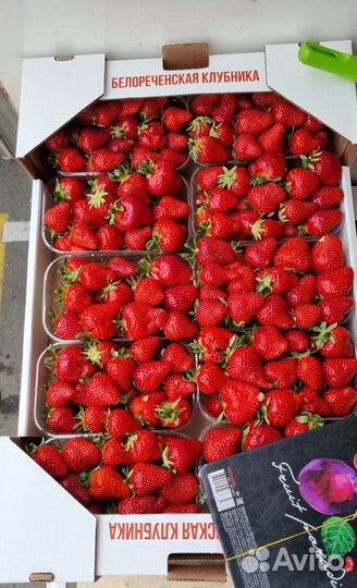 Клубника свежая