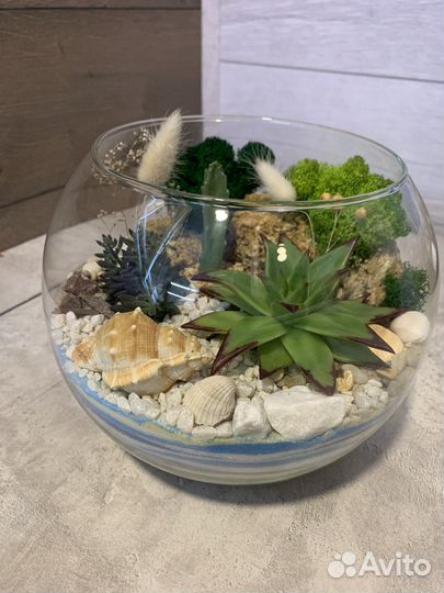 Флорариум/готовый подарок в наличии