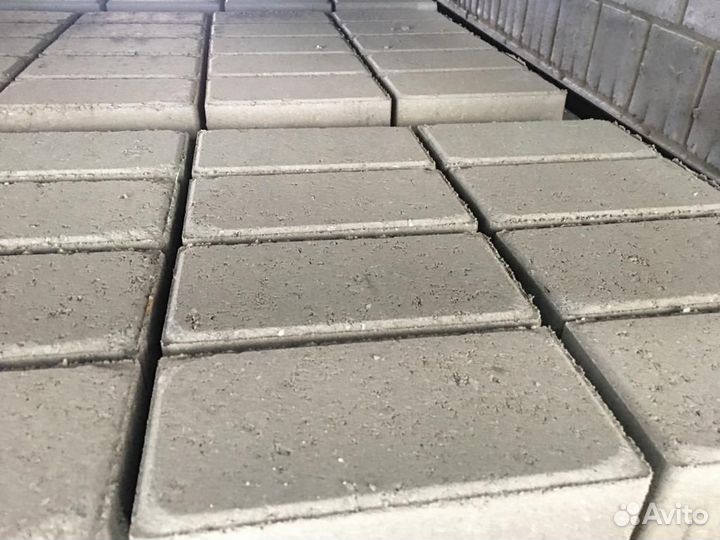 Плитка тротуарная 100х200х60