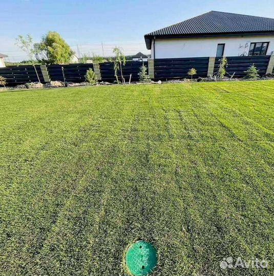 Газон. Рулонный газон