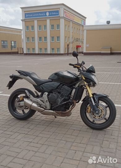 Hornet