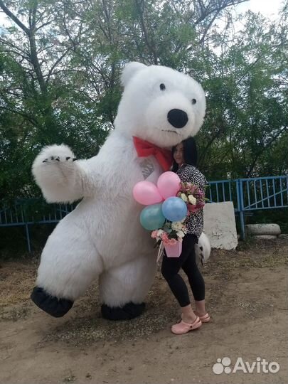 Белый Мишка, Чебурашка, Панда больше белого медвед