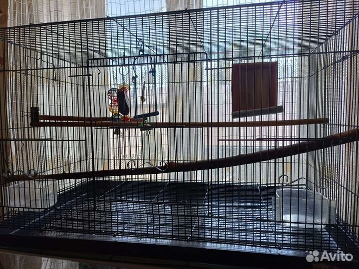 Клетка для попугая