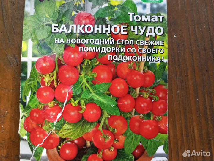 Рассада помидор(томат балконный, смесь)