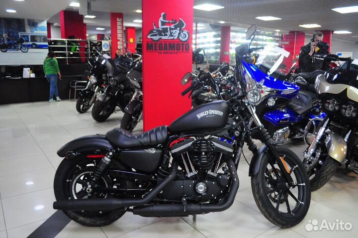 Harley-davidson Sportster 883, 2021 год