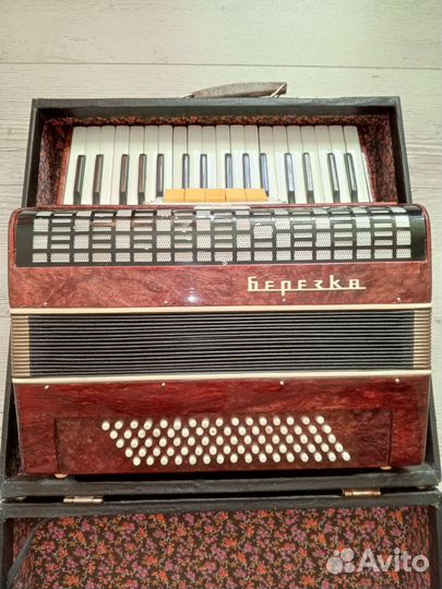 Аккордеон Березка