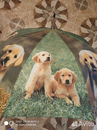 Зонт трость