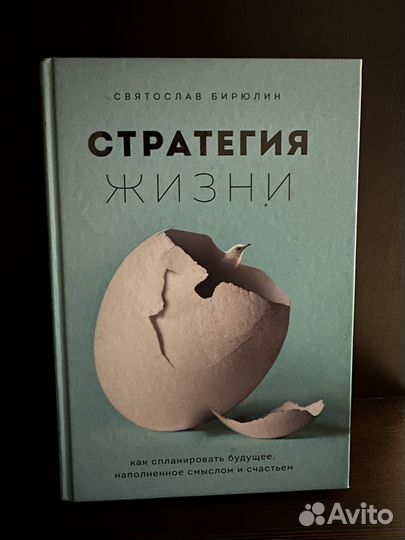 Книга «Стратегия жизни» Святослав Бирюлин