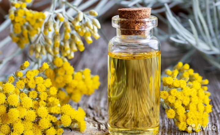 Do Terra Бессмертник