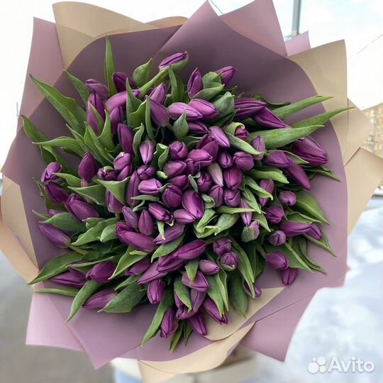 Букет фиолетовых тюльпанов 101 шт к 8 марта Москва