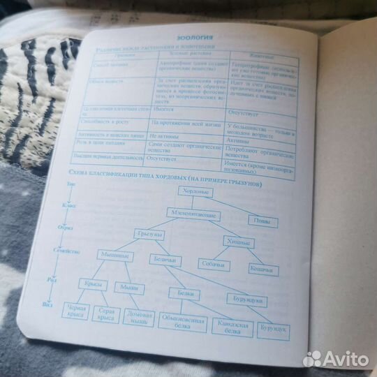 Предметные тетради