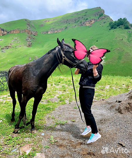 Бомбер легкий