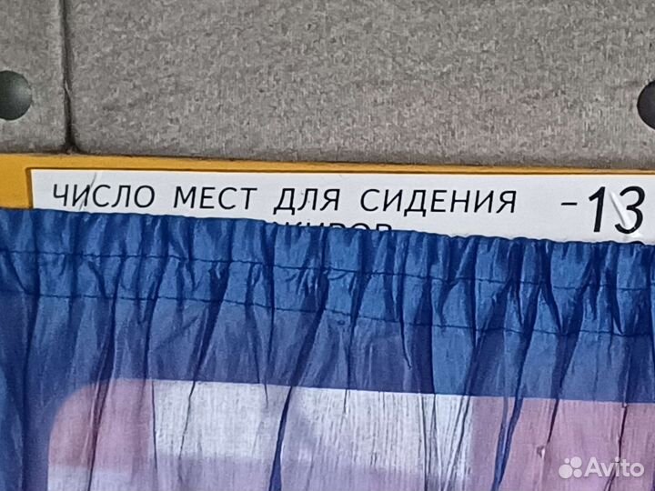 Водитель со своей пассажирской газелью