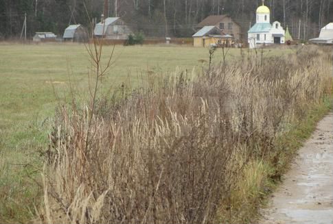 Участок 4,1 га (ИЖС)