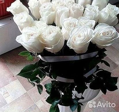 Высокие розы Гигантские розы Доставка цветов