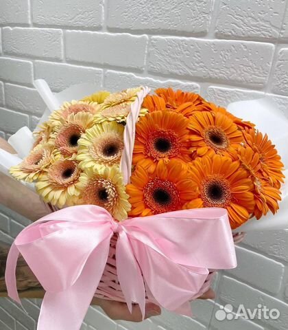 Розы голландские с доставкой 25 шт