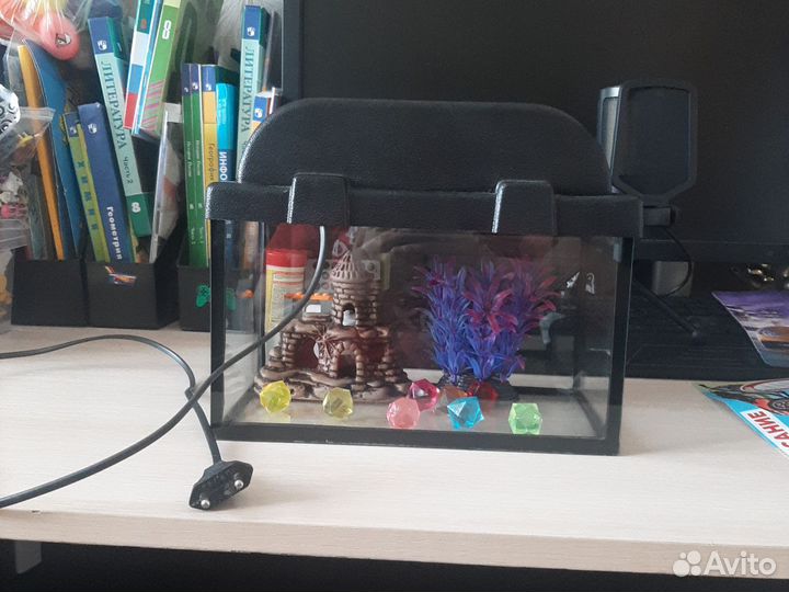 Аквариум