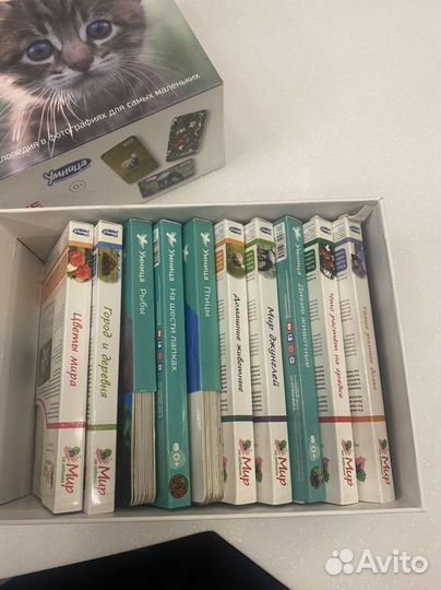 Умница мир на ладошке