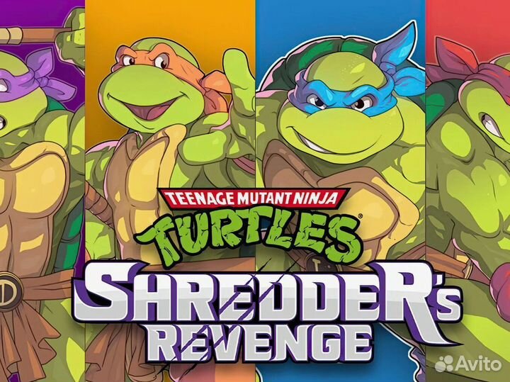 Teenage Mutant Ninja Turtles Shredders Revenge