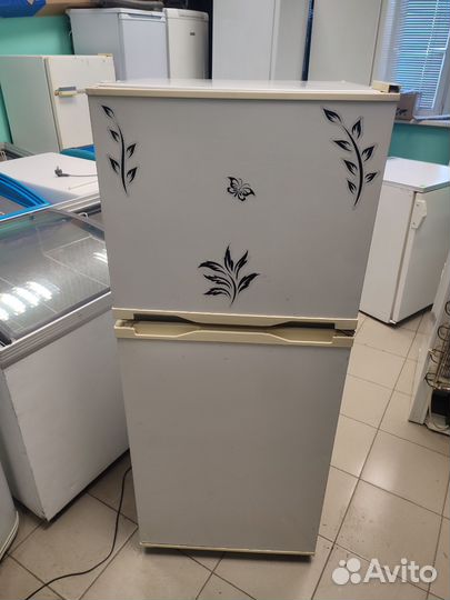 Холодильник Бирюса 22