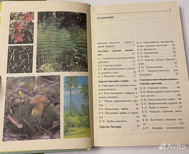 Учебник Биология 6 кл Пасечник Новый