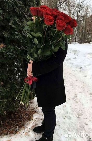 Высокие розы Гигантские Розы 150 160 170 180 190см