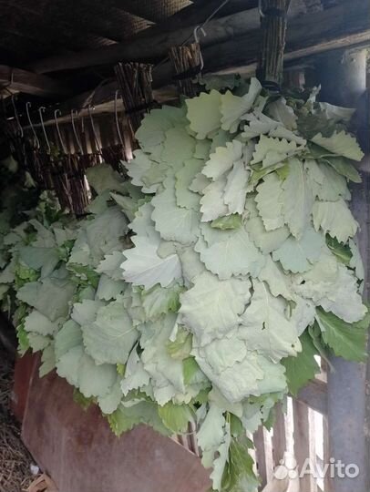 Продаю веники дубовые, черно клëн, липа