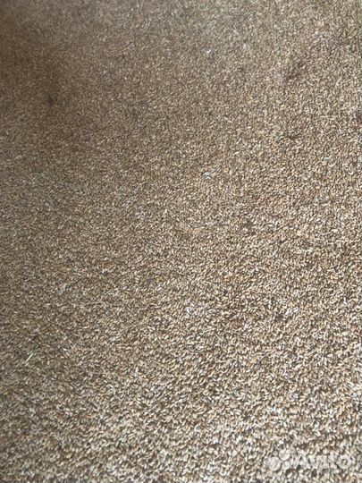 Ячмень,Овес, пшеница