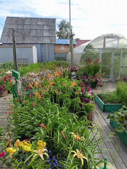 Дача 56,9 м² на участке 5,5 сот.