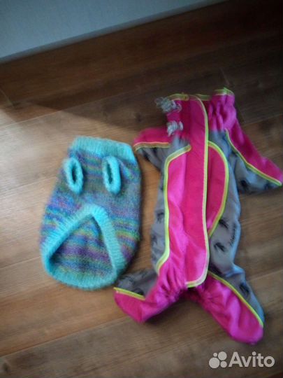 Дождевик для маленькой собаки