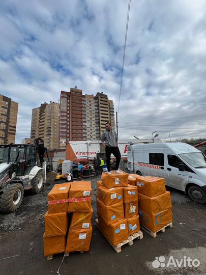 Чай Шу Пуэр