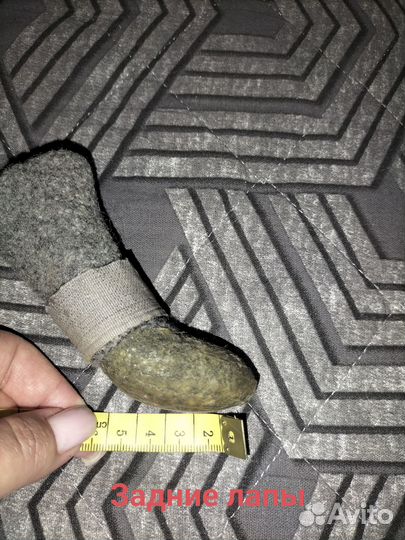 Валенки для собак