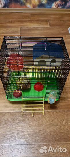 Клетка для хомяка