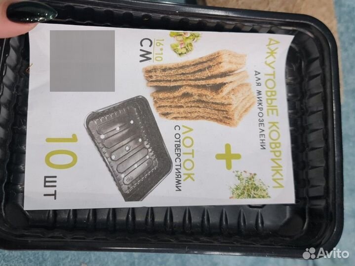 Набор для выращивания микрозелени