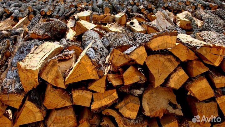 Дрова в СПБ