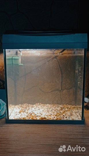 Аквариум