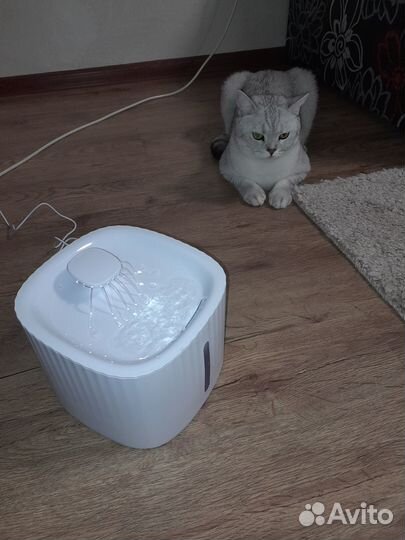 Фонтан поилка для кошек