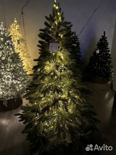 Ель Каролина + LED 210 см