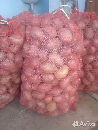 Продам картофель домашний