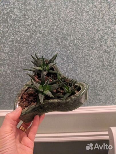 Цветочная композиция