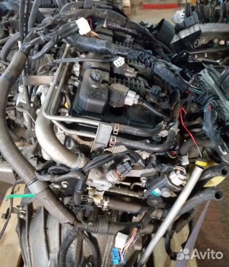 Suzuki grand vitara контрактный двигатель 2.4