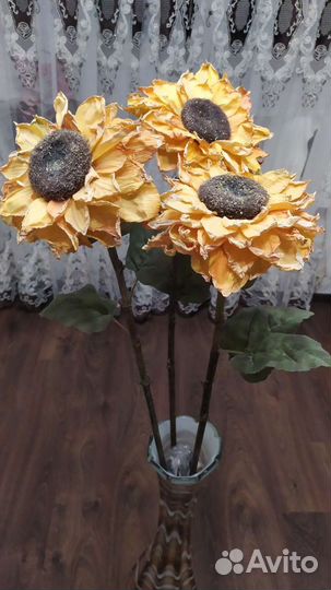 Декорактивные подсолнухи