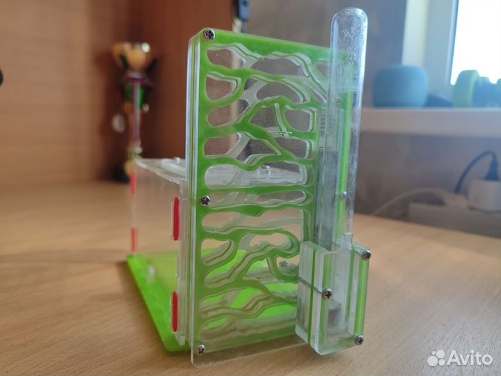 Муравьиная ферма