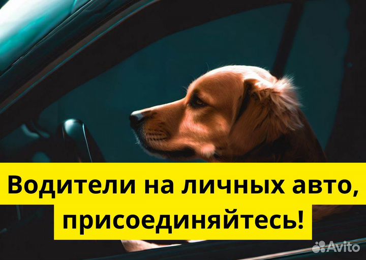 Яндекс GO: вакансия водителя с авто